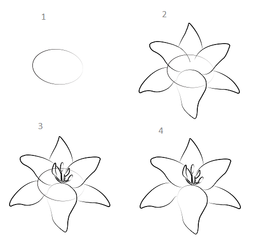 How to draw Lily flowers with a few steps - Image 1