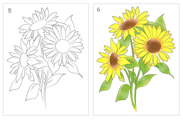 How to draw sunflowers step by step - Image 2
